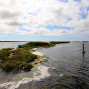IMG-1434