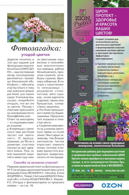 Цветок 2025 11 17.jpg