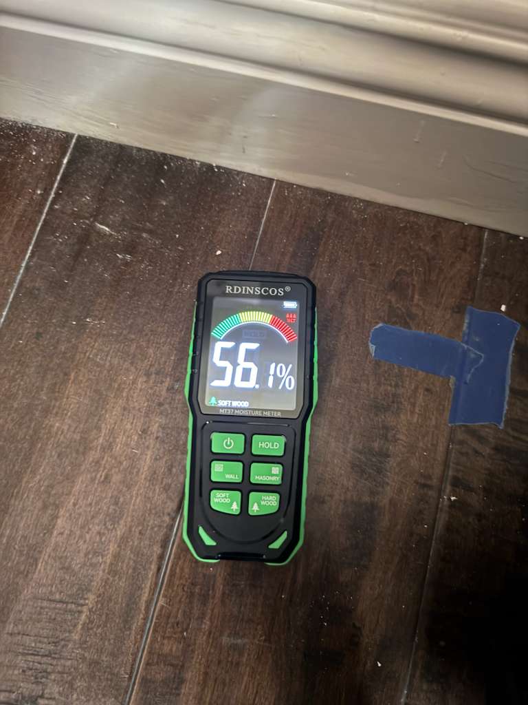Floor Moisture Testing - 56.1%