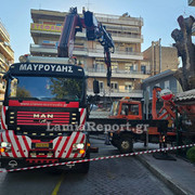Δεντρο πλατεια Λαου016