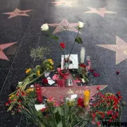 swayze flowers