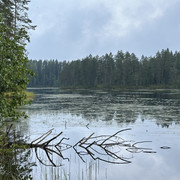 IMG 4490