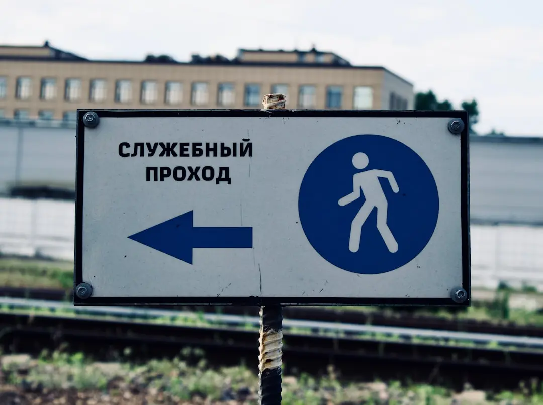 Grădina ta înflorește până toamna: Soluții pentru plante perene târzii