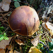 DSC05559