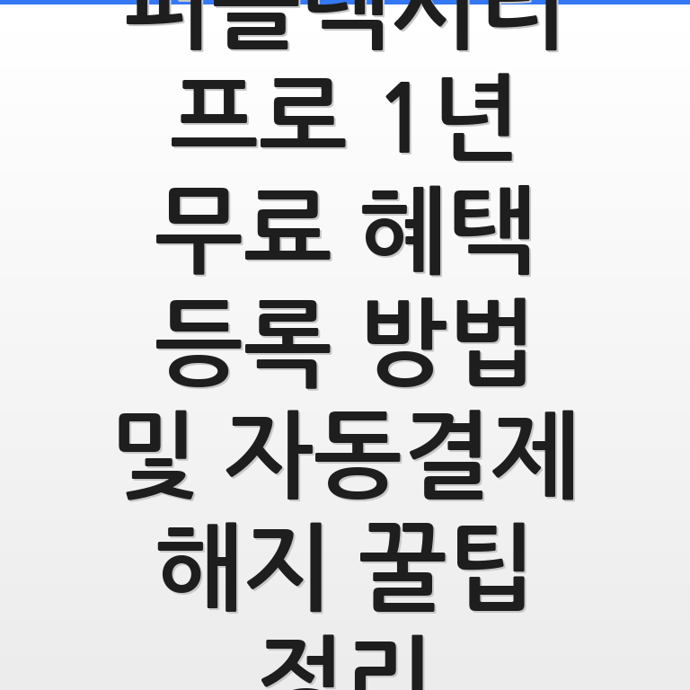 퍼플렉시티 프로 1년 무료 혜택 등록 방법과 자동결제 해지 팁을 안내하는 깔끔한 인포그래픽 모습