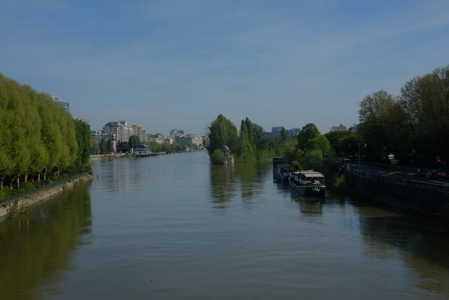 DSCF8994.jpg