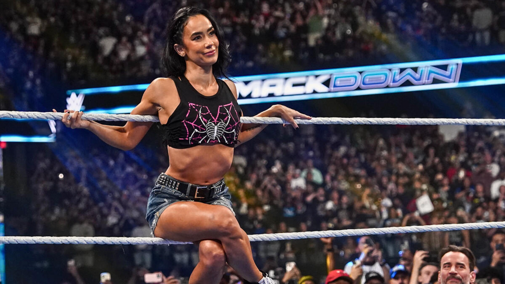 Cosas que tienes que saber sobre AJ Lee Cosas que tienes que saber sobre AJ Lee