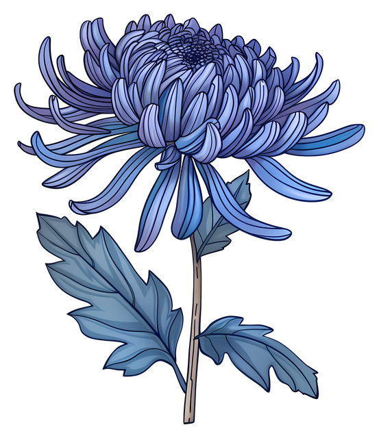 76a859ee6e9dbd2d29afcd90757bb605.png