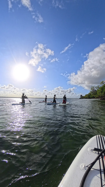 Paddle Experience