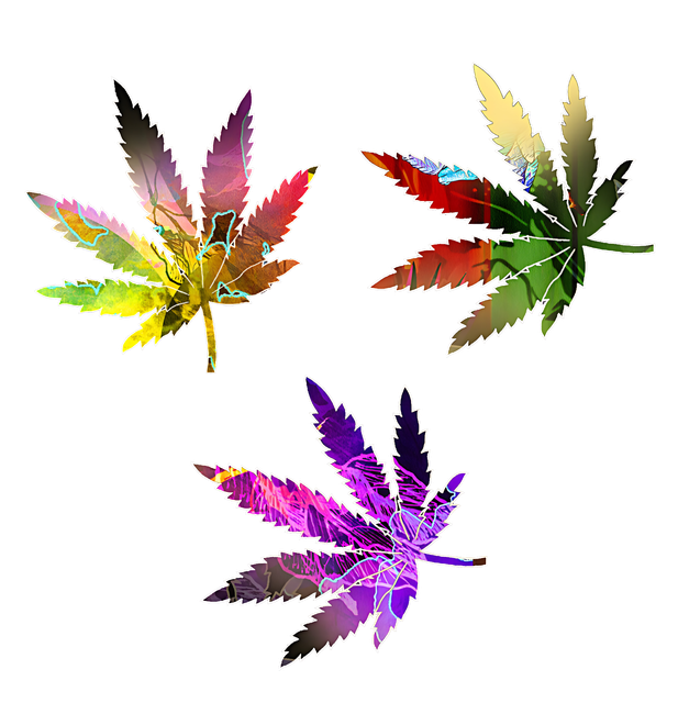 nohat-upscale-x4-1dfac713.png