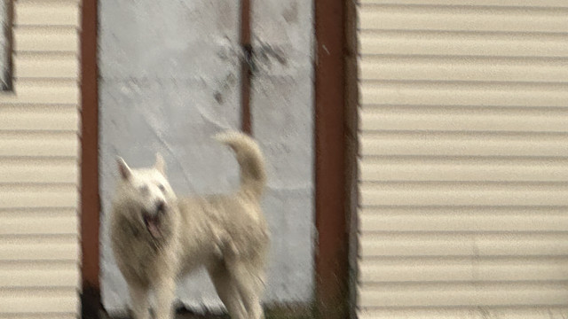 IMG 5065.jpg