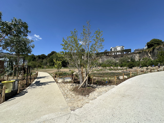 IMG 7886.jpg