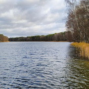 IMG20211112104657