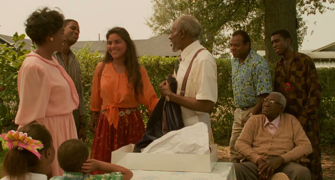 Mississippi Masala Screenshot