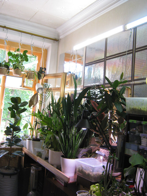 IMG 6436.jpg