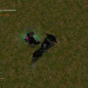 image 28