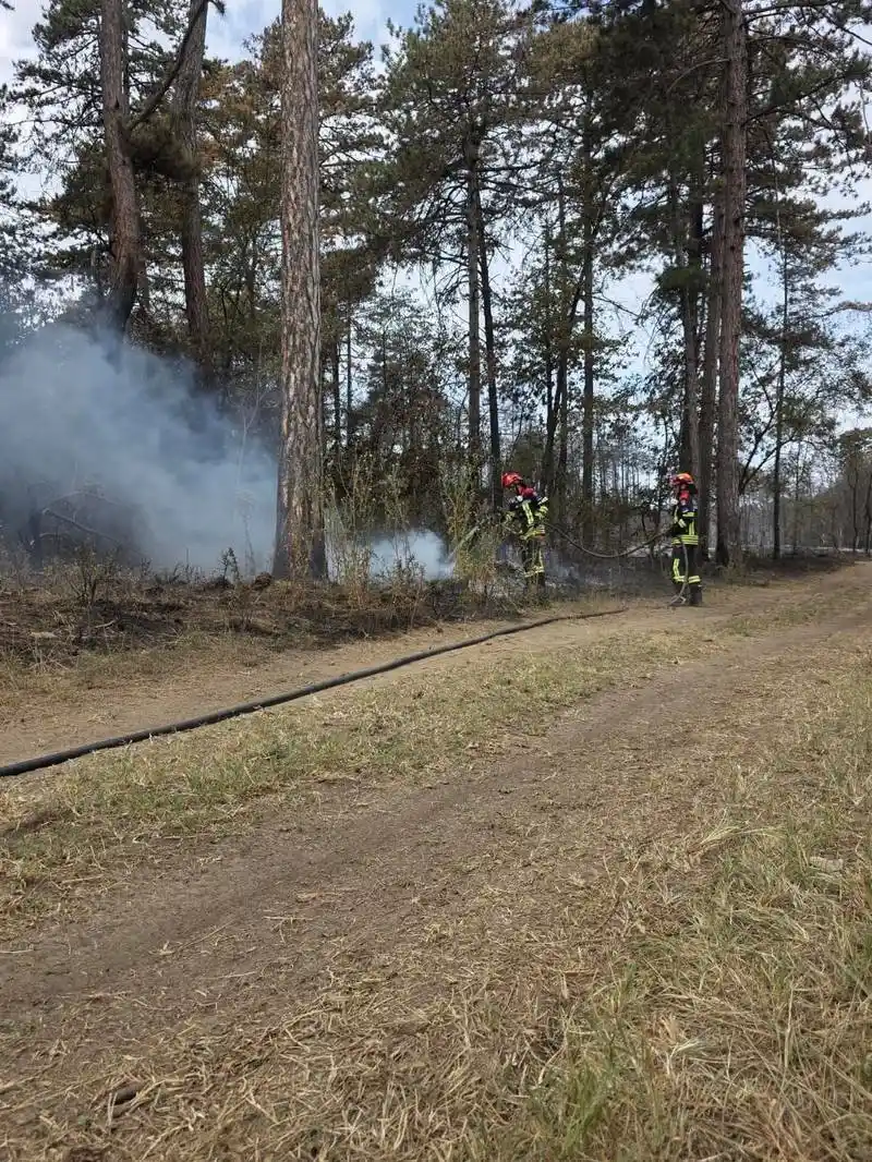 Pompierii români sting incendii în Serbia, lângă Kajtasovo și Grebenac