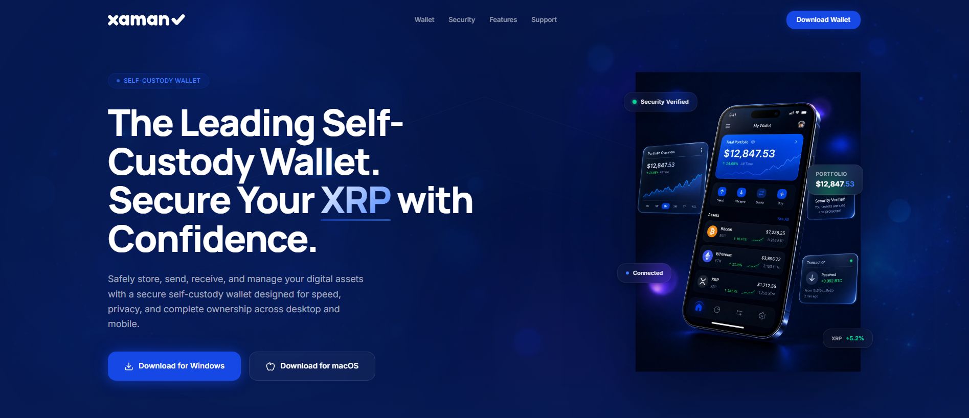 Forensic screenshot of xamaninfo.live showing the phishing page layout
