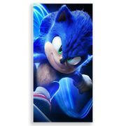 31001579-Sonic