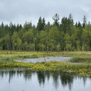 IMG 4855