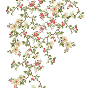 09e6f70a588341b4d0138ff05855302f