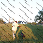 IMG 3010