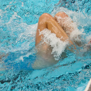 IMG-0488