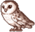 buho (2).png