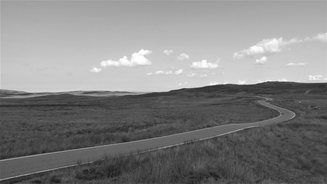 DSC09254-BW.jpg