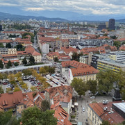 IMG-2646