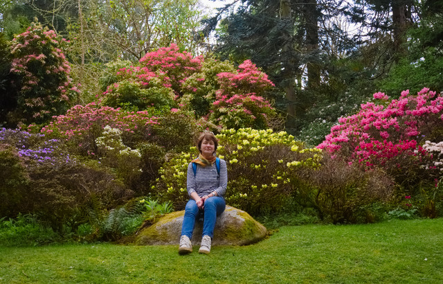 DSCF6137.jpg