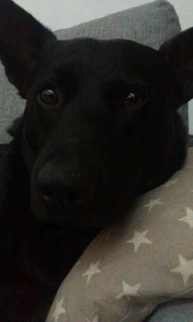 IMAG2853.jpg