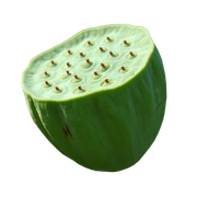 fruit