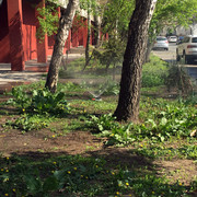 IMG-5031
