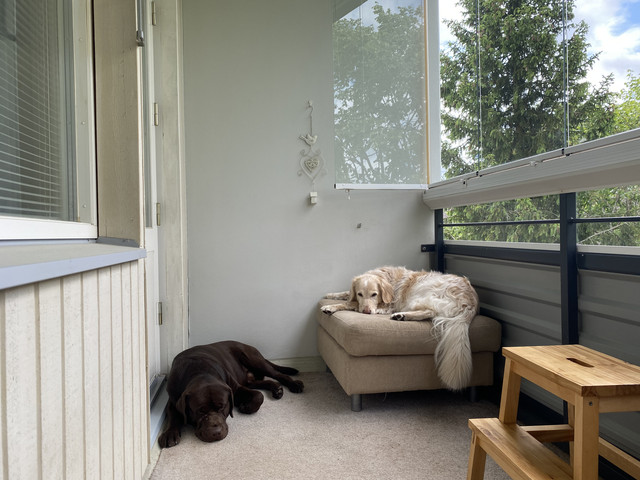 2-C0-CBECD-8-DAD-4-B4-C-AEC5-16107447-FC