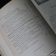 IMG-4231
