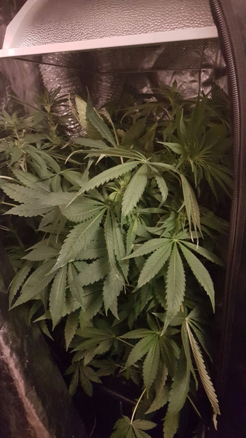 hydro-day-43
