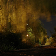 2012-09-26-080