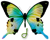 ASprg-Birds-J.png