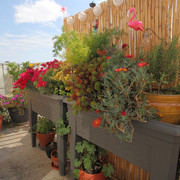 IMG-7828