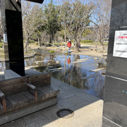 IMG-3084