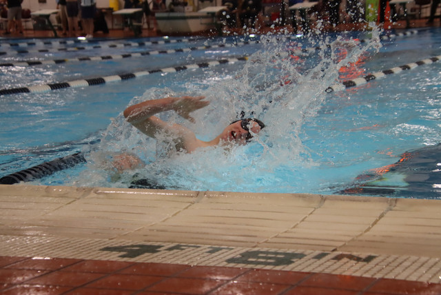 IMG-0088