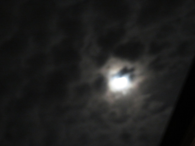 Pmoon-003.jpg
