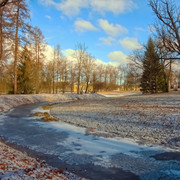 DSCF4449