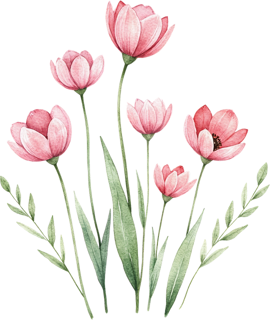 3104727eddd20bc3f97cfd77b8c8543e.png