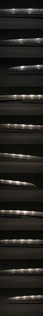 DSC4563