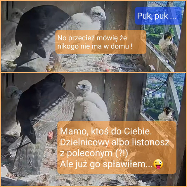 08-05-ROZMOWA-PRZEZ-PROG