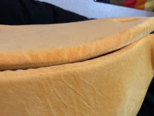 a reversed non-looping gif of the same cat looking back out of her banana bed.