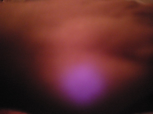 IMAG0040