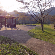 2011-10-08-50